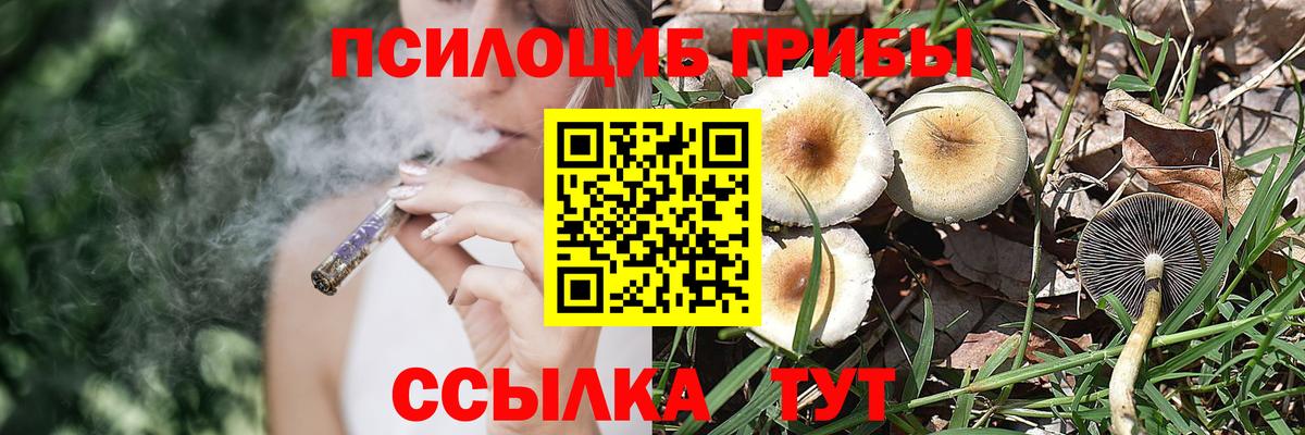 Волгодонск  Псилоцибиновые грибы мухоморы  Вход с VPN 